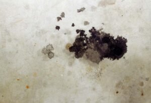 Eliminar manchas de aceite o grasa en pisos 2 Eliminar manchas de aceite o grasa en pisos (4)
